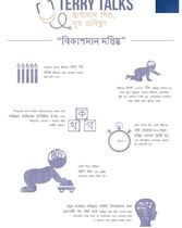 টেরির কথামালা: বিকাশমান মস্তিষ্কের উপর গুরুত্বপূর্ণ সব তথ্য